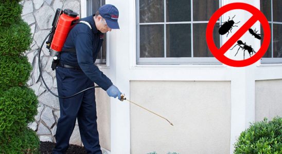 Uluborlu Hamam Böceği İlaçlama böcek ilaçlama ve haşere kontrolü — ilaclama-tr.com